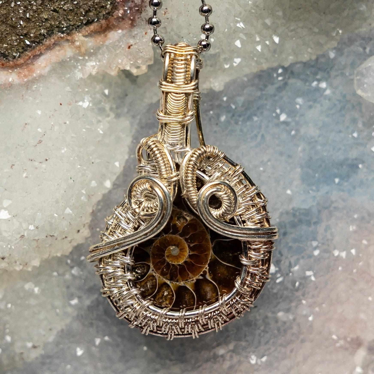 Ammonite Fossil Wire Wrap Pendant