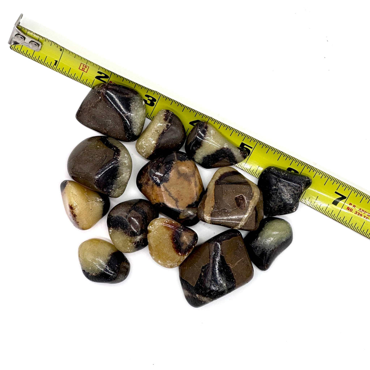 Septarian Tumbled Pocket Stone: The Dragon Stone