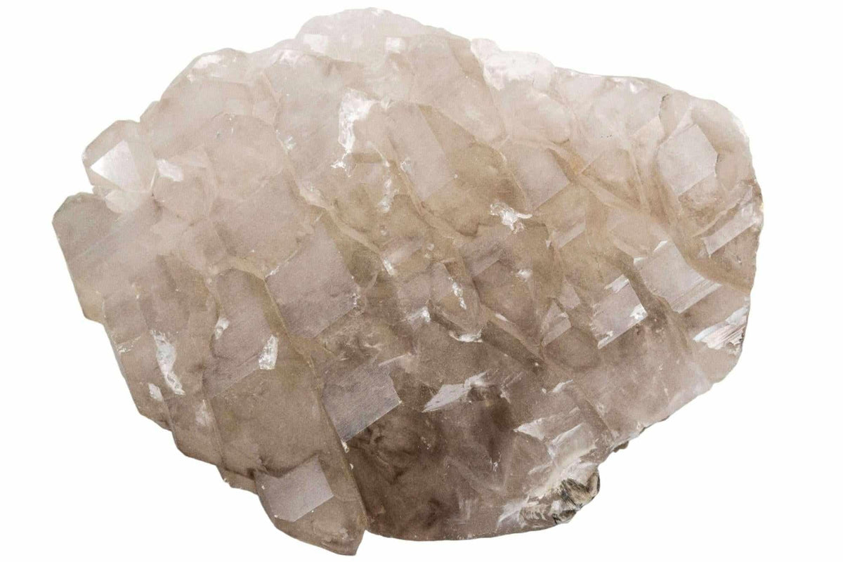 Smoky Quartz Crystal Gator Back Cluster Raw Specimen