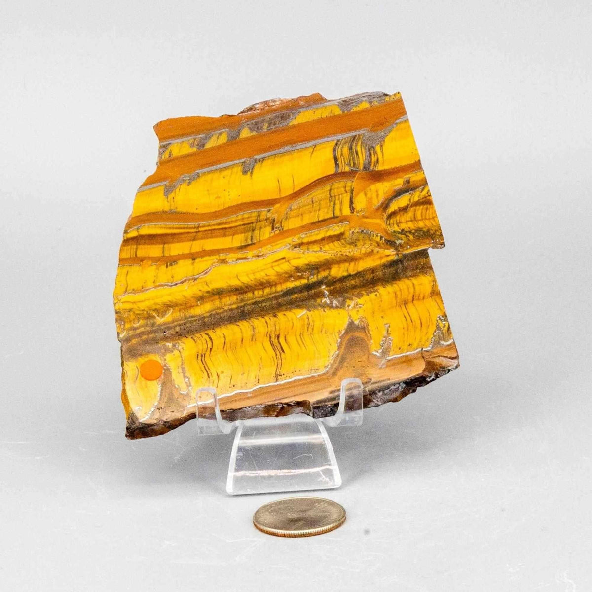 Tiger's Eye Crystal Polished Slice Natural Chatoyant