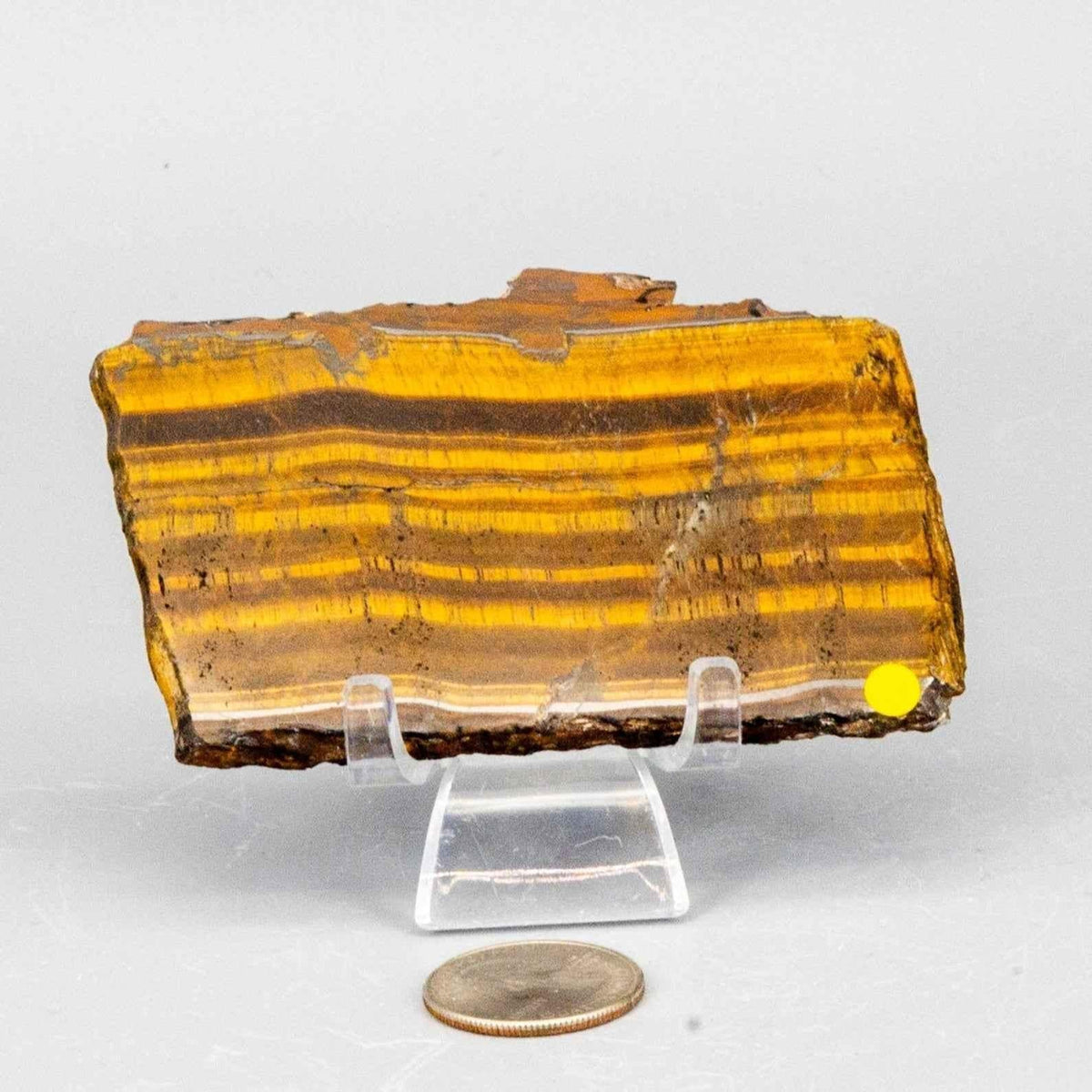 Tiger's Eye Crystal Polished Slice Natural Chatoyant
