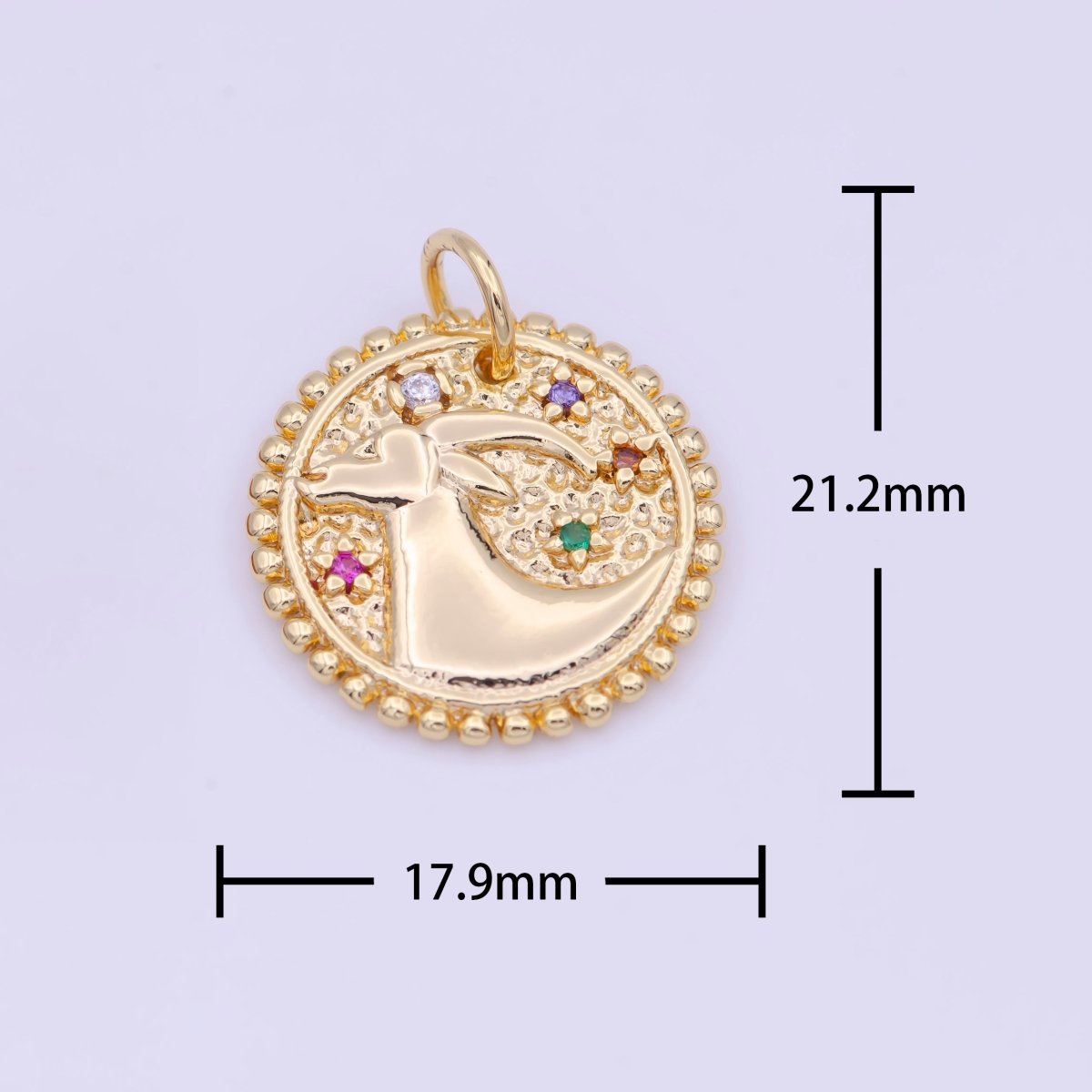Double Sided Zodiac Horoscope Astrology Personalized Coin Charm | A-A1803-A-A1808(discontinued)