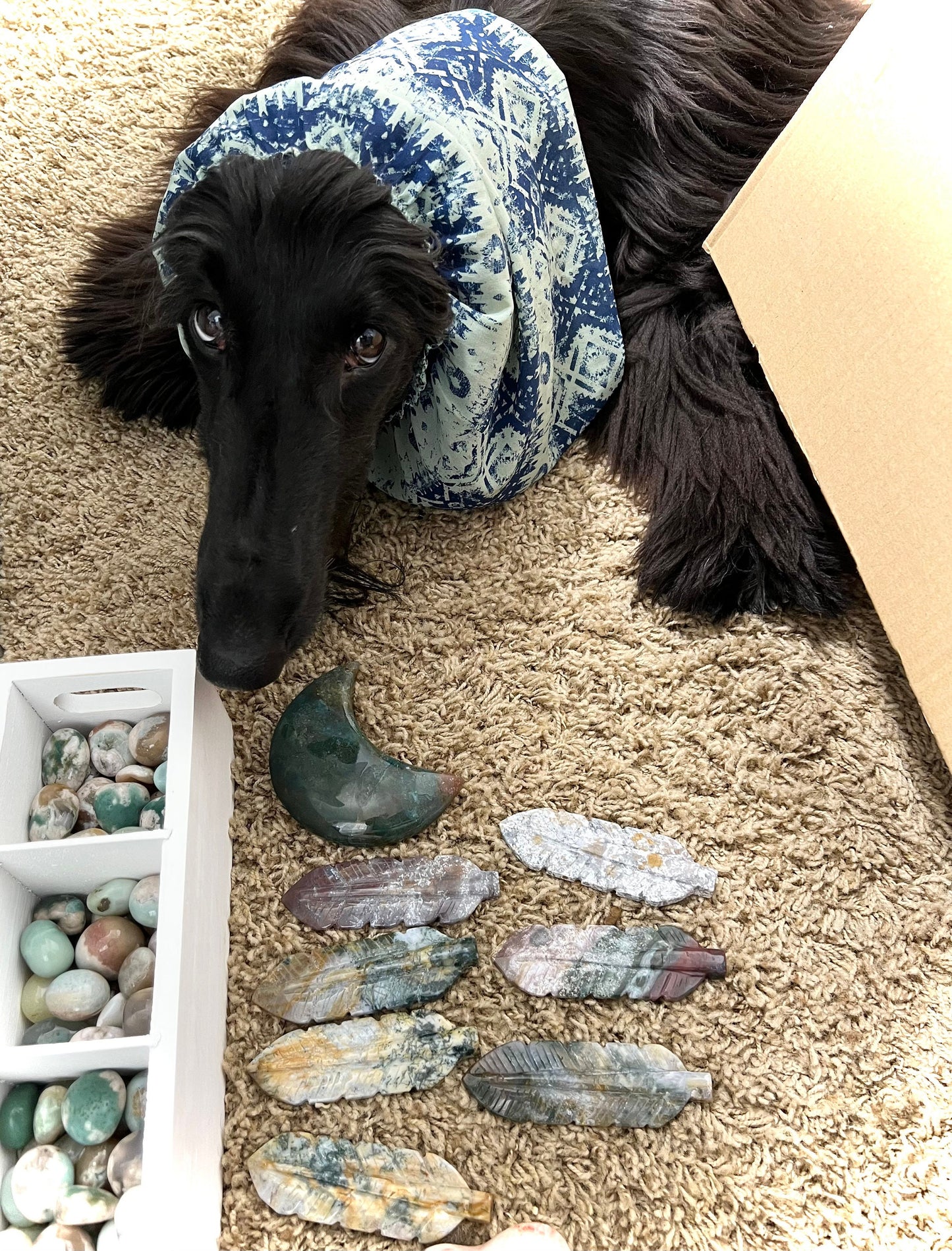 Intuitively Chosen Crystals | by Black Voodoo of Swanah | "Magic’s" Crystal Collection | by the Mysterious Afghan Hound, “Magic”